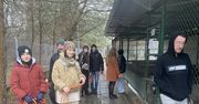 Radom: Prawie 300 psiaków wyszło na wielki spacer ze schroniska