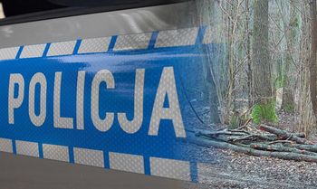 Leśniczy zauważył ślady. Na miejsce wezwał służby