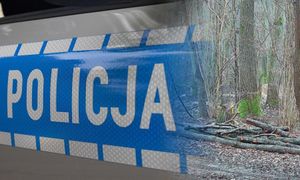 Leśniczy zauważył ślady. Na miejsce wezwał służby