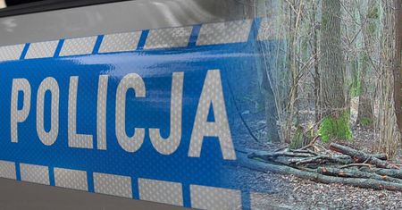 Leśniczy zauważył ślady. Na miejsce wezwał służby