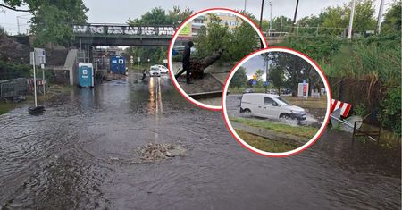 Nagła ulewa. Ściana deszczu, powalone drzewa. "Studzienki wyskakują"