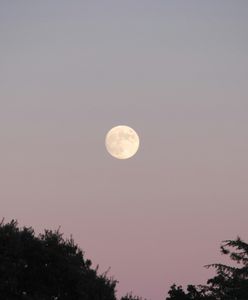 Pełnia Księżyca w kwietniu. Zbliża się Różowy Księżyc
