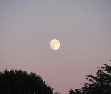 Pełnia Księżyca w kwietniu. Zbliża się Różowy Księżyc