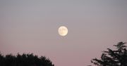 Pełnia Księżyca w kwietniu. Zbliża się Różowy Księżyc