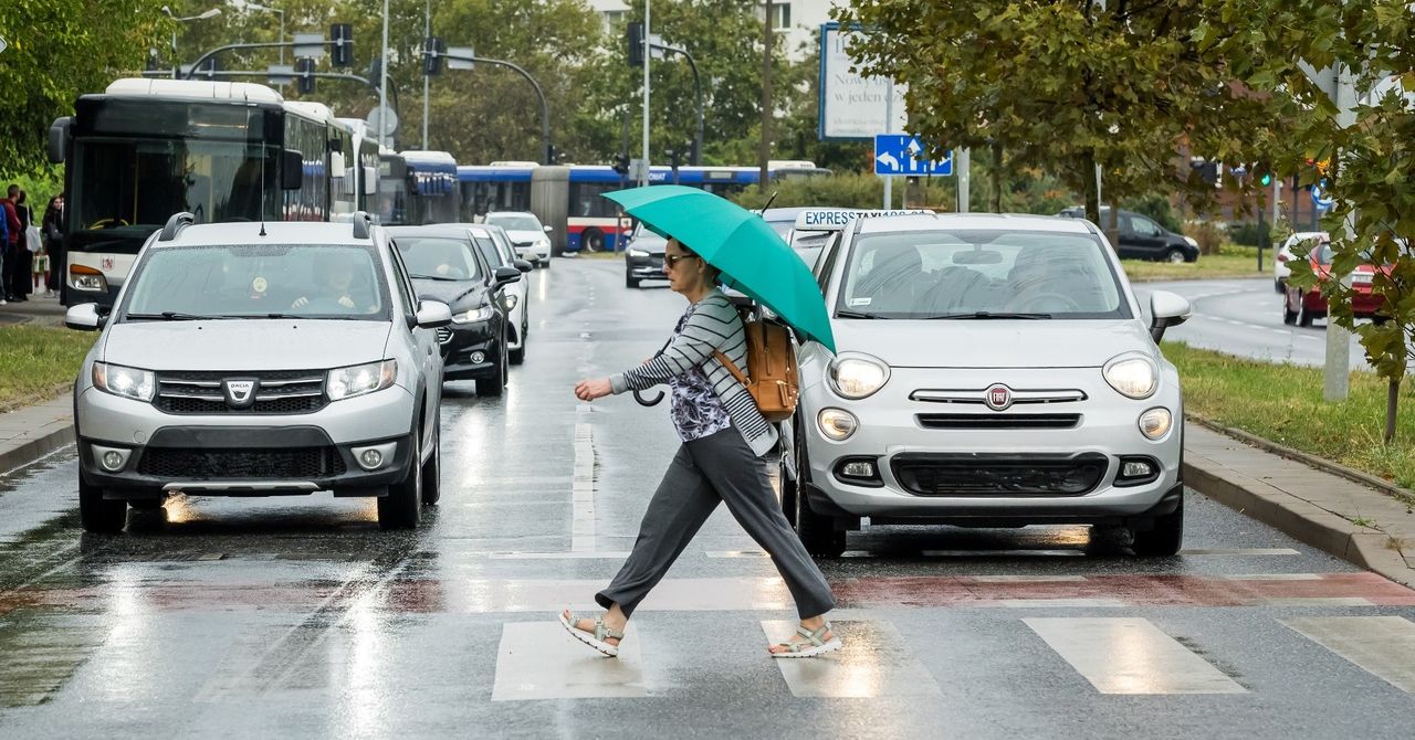 Gorzów: Wzór dla innych miast. Tu pieszy nie boi się wejść na pasy