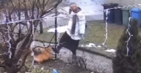 Czeka go symboliczna kara. Ksiądz odpowie za kopanie psa
