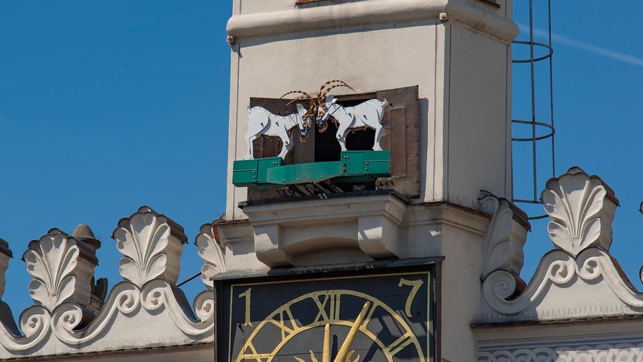 Poznańskie koziołki w maseczkach