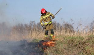 Wypalanie traw. Oto ilu rolników straciło z tego powodu dopłaty