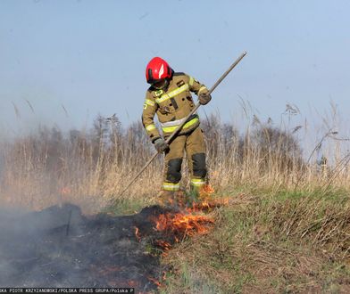 Wypalanie traw. Oto ilu rolników straciło z tego powodu dopłaty