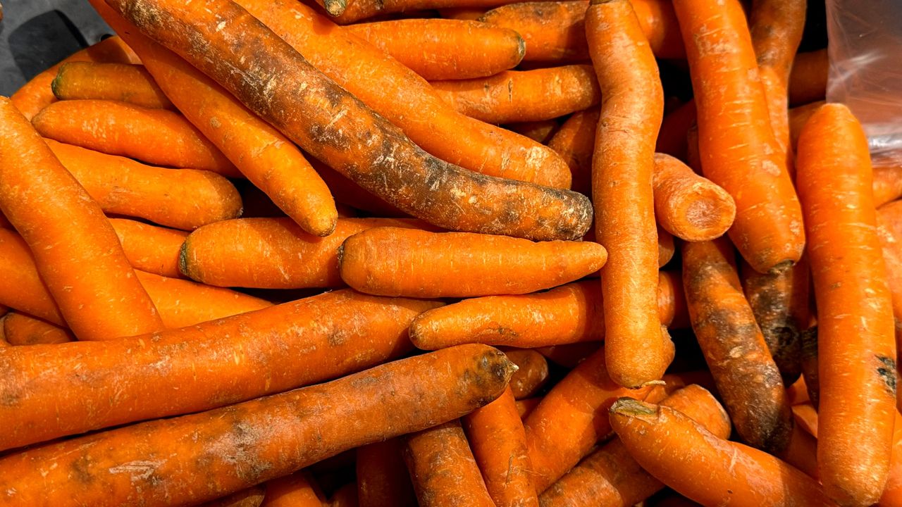 To nie tylko spleśniałe jedzenie. Mykotoksyny pojawiają się tam, gdzie się nie spodziewasz