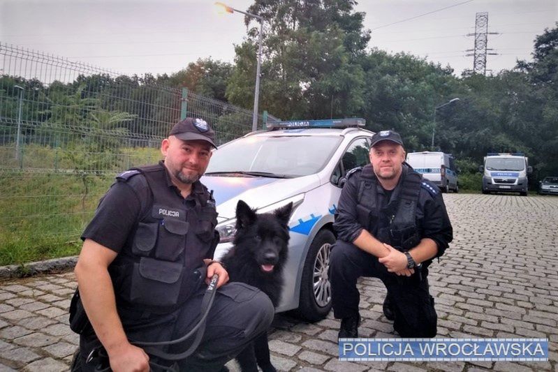 Wrocław. Policyjny pies odnalazł zaginionego 84-latka. Spadł do piwnicy na terenie pustostanów
