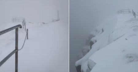 Sypnęło śniegiem. Nagranie z Karkonoszy