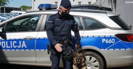 Śląskie. 83-letnia kobieta wyszła nocą ze szpitala. Jak "Kira" odnalazła zagubioną pacjentkę