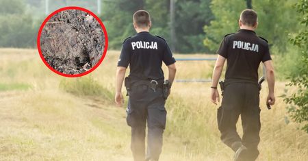 Poszedł na spacer do lasu. Takiego widoku się nie spodziewał