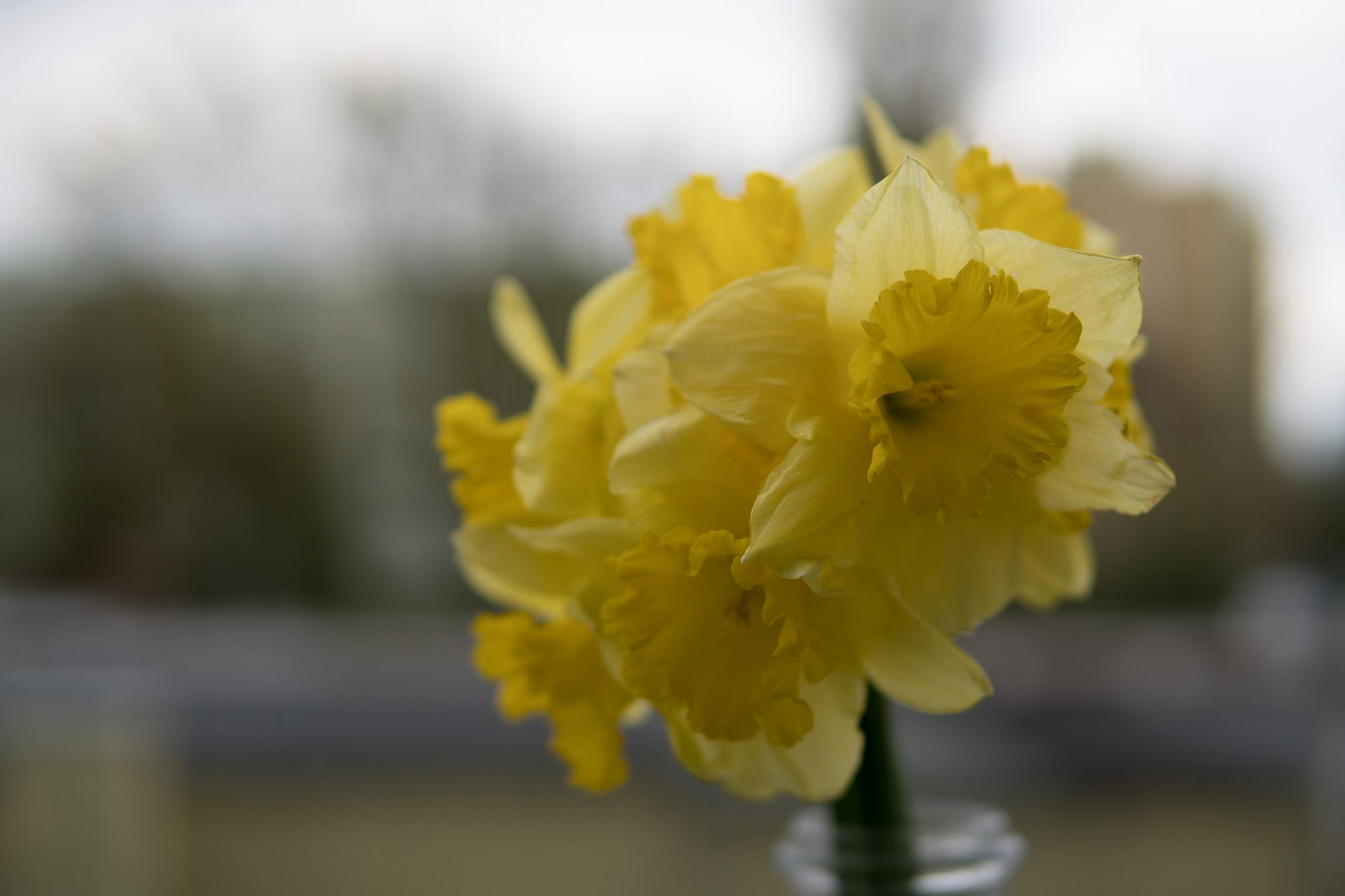 Sigma 30 mm f/1.4 DC DN - recenzja jasnego obiektywu stworzonego z myślą o bezlusterkowcach 23