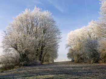 Czapki i szaliki wrócą do łask. Mrożące wieści od synoptyków na najbliższy weekend