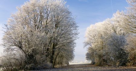 Czapki i szaliki wrócą do łask. Mrożące wieści od synoptyków na najbliższy weekend