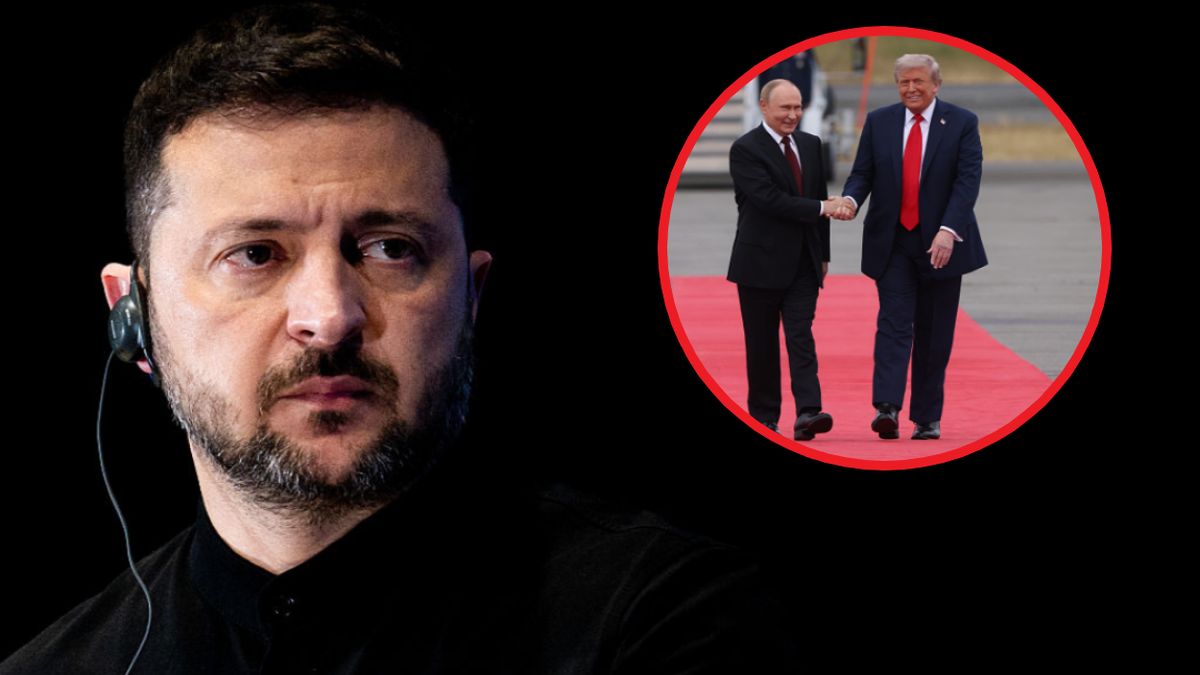 Czerwony dywan dla prezydenta Ukrainy? Dyplomata wyjaśnia