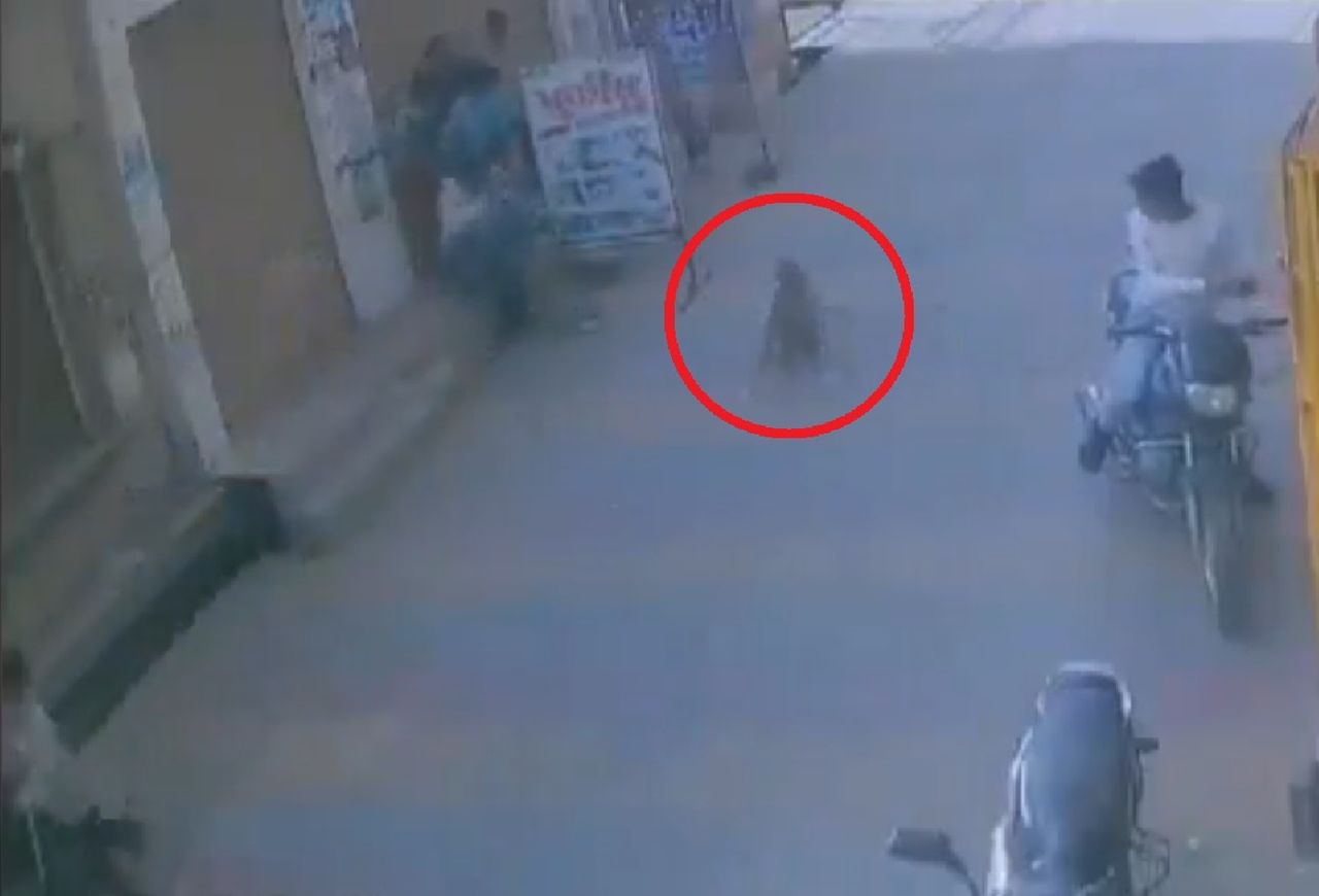 Dzikie zwierzę zaatakowało dziecko na ulicy. Nikt nie reagował