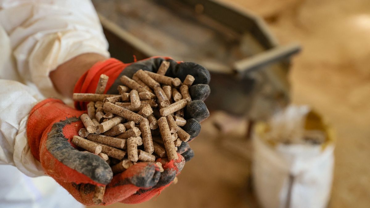 Nawet 4 mln ton pelletu. "Zyska pan Putin i pan Łukaszenko"