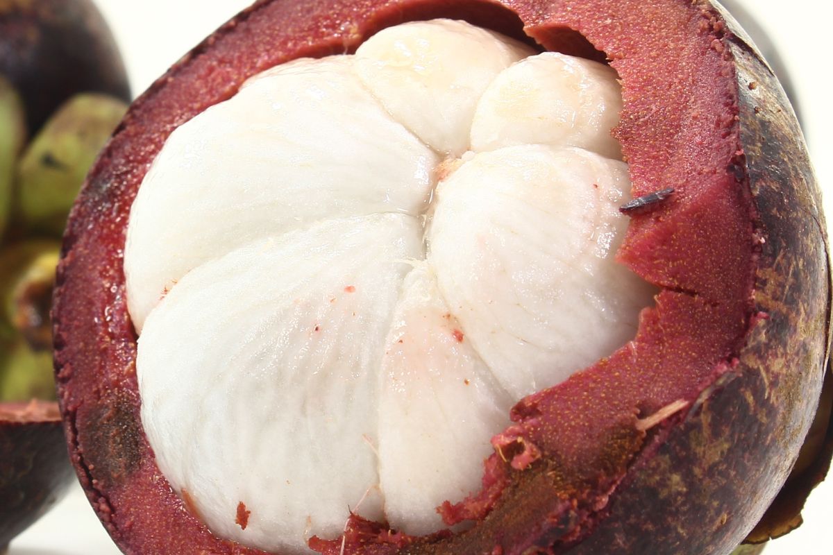 Mangosteen