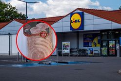 GIS ostrzega. Groźna bakteria w popularnym produkcie