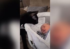 Filmik z ze śpiącym dzieckiem i kotkiem zrobił furorę w internecie