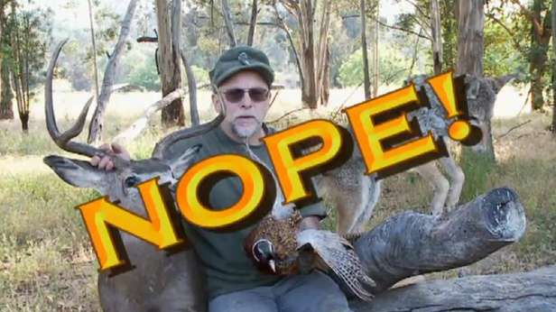 Najlepsze virale 2011 roku. Zobacz najchętniej udostępniane klipy 1