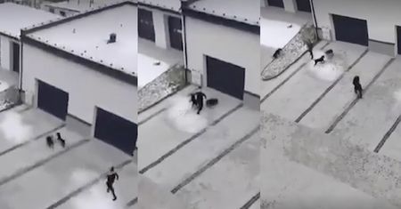 Dwa czarne, agresywne psy siały zamęt na ulicach Nowej Dęby. "Sześć osób ucierpiało".