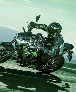 Nowości Kawasaki na rok 2021. Z900, Vulcan S i Ninja 1000SX w innych barwach