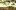 Total War Battles