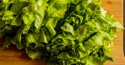 Sałata w roli głównej. Czy naprawdę jest "bez wartości"?