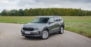 Test: Škoda Kodiaq 1.5 TSI iV - hybryda jak elektryk. W tygodniu na prądzie, w weekend na benzynie