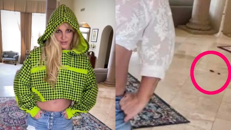 Britney Spears wdzięczy się do kamery na tle kociej kupy