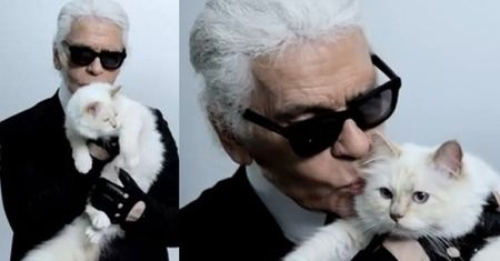 Co słychać u Choupette Lagerfeld? (DUŻO ZDJĘĆ)