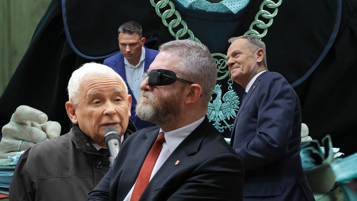 Kto może skorzystać na potencjalnej delegalizacji partii Brauna?