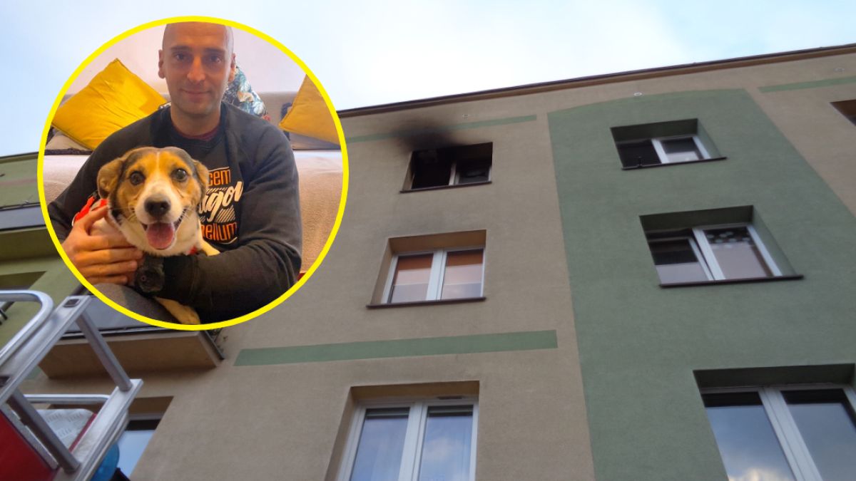 Strażak uratował życie psa i dał mu nowy dom
