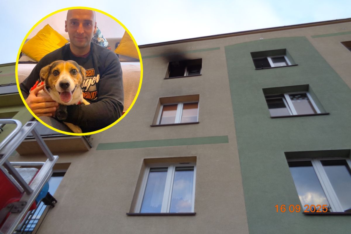 Jego pan zginął w pożarze mieszkania. Dzięki strażakowi Dino ma nowy dom