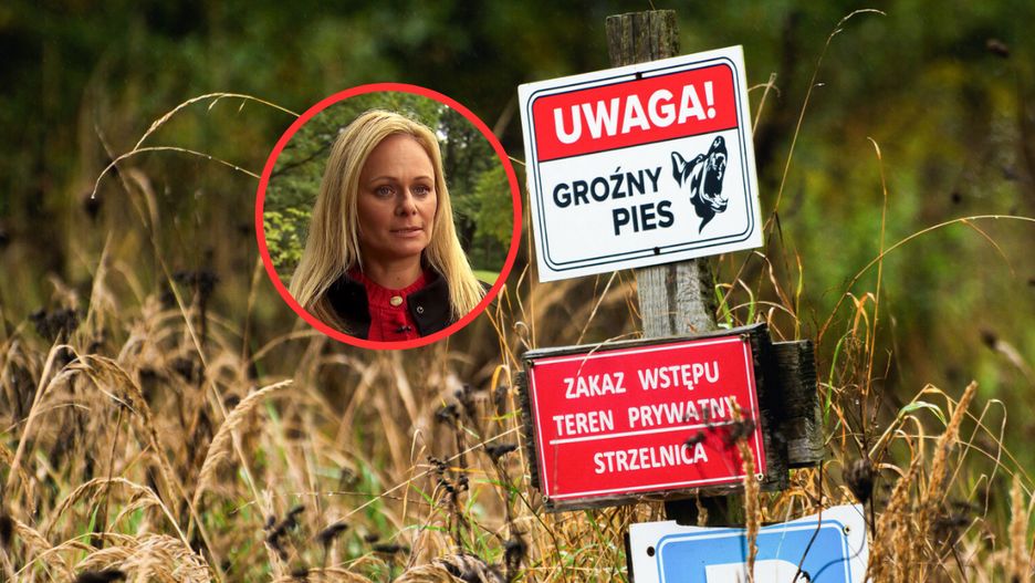 Psy zaatakowały grzybiarza w lesie pod Zieloną Górą