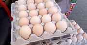 Co się będzie działo z cenami jaj? Producenci wskazują scenariusz