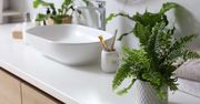 Jakie kwiaty postawić w łazience bez okna? Te rośliny sprawdzą się najlepiej