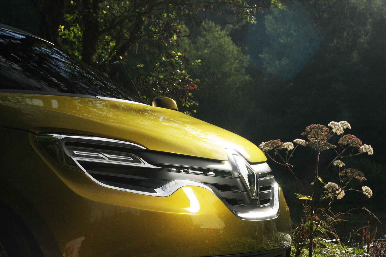 Renault Frendzy