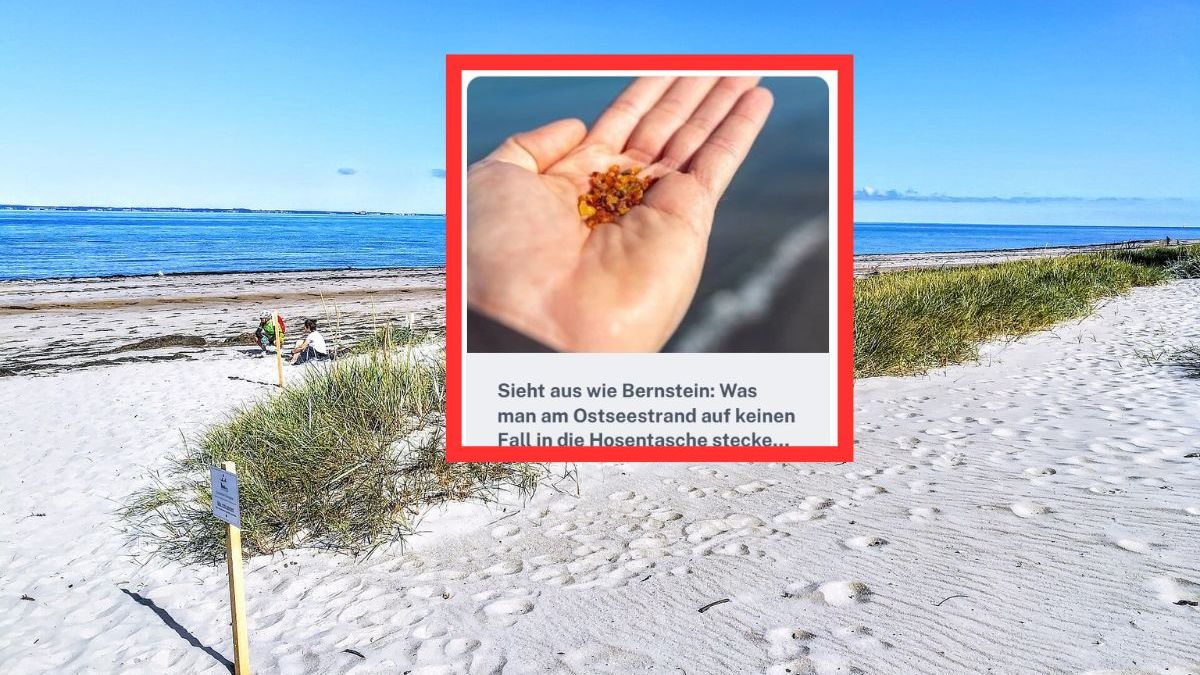 Uważaj podczas zbierania bursztynu nad Bałtykiem