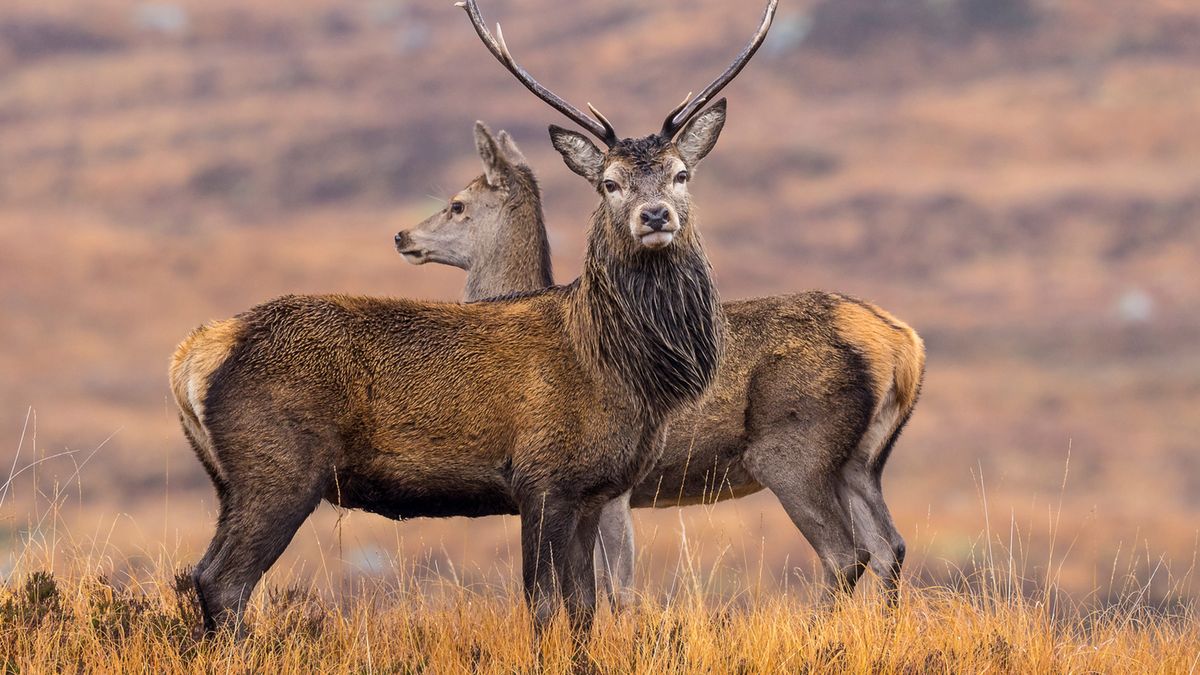 M.Zuiko Digital ED 300 mm 1:4 PRO - moje pierwsze wrażenia z fotografowania w terenie 1