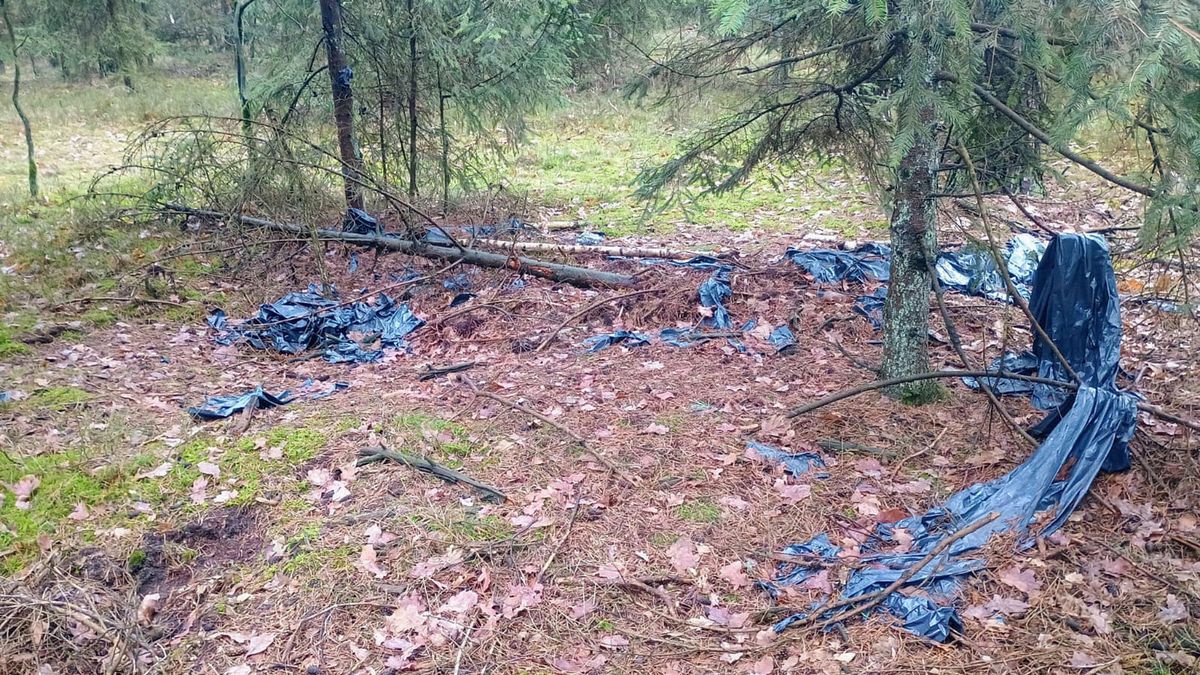 Zostawili bałagan w lesie. Nadleśnictwo pokazuje zdjęcia