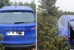 Skradzione auto odnalezione pod Śnieżką. Było ukryte w kosodrzewinie