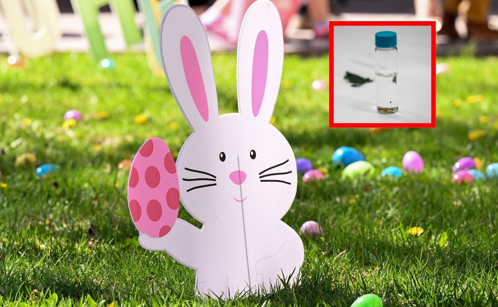 Szukali pisanek w Niemczech. Znaleźli niepokojącą fiolkę