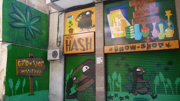 Polacy będą mogli legalnie palić trawkę. W imię nauki 1