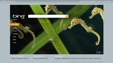 Bing celuje w komórkowców 1