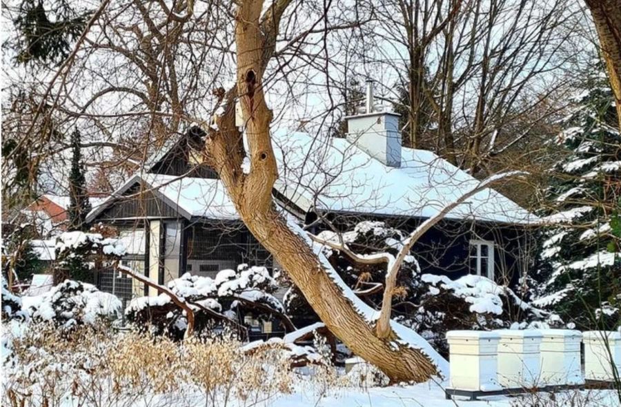 Fight for Warsaw’s wooden Finnish houses. Unique place in the capital